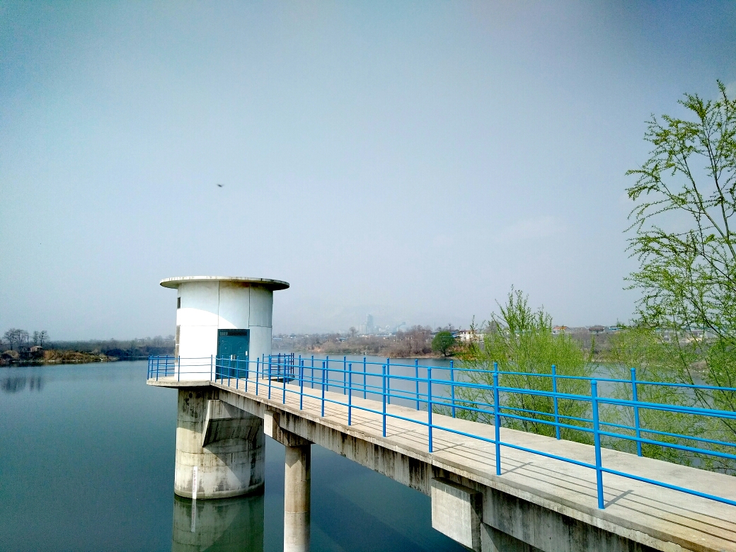 富平柿子风情小镇曹村马家坡!