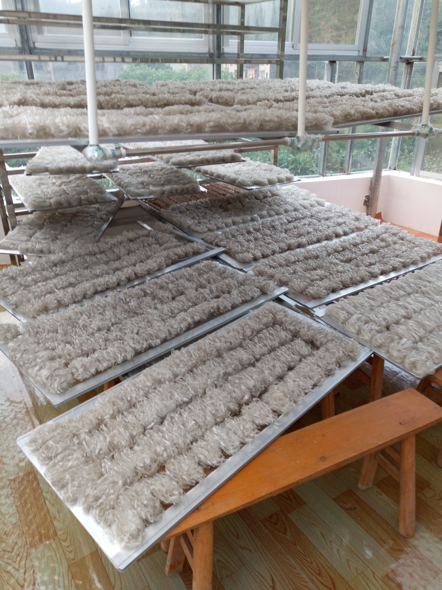 2018-9-21 信宜白石官山村 展宇农业蕉芋粉