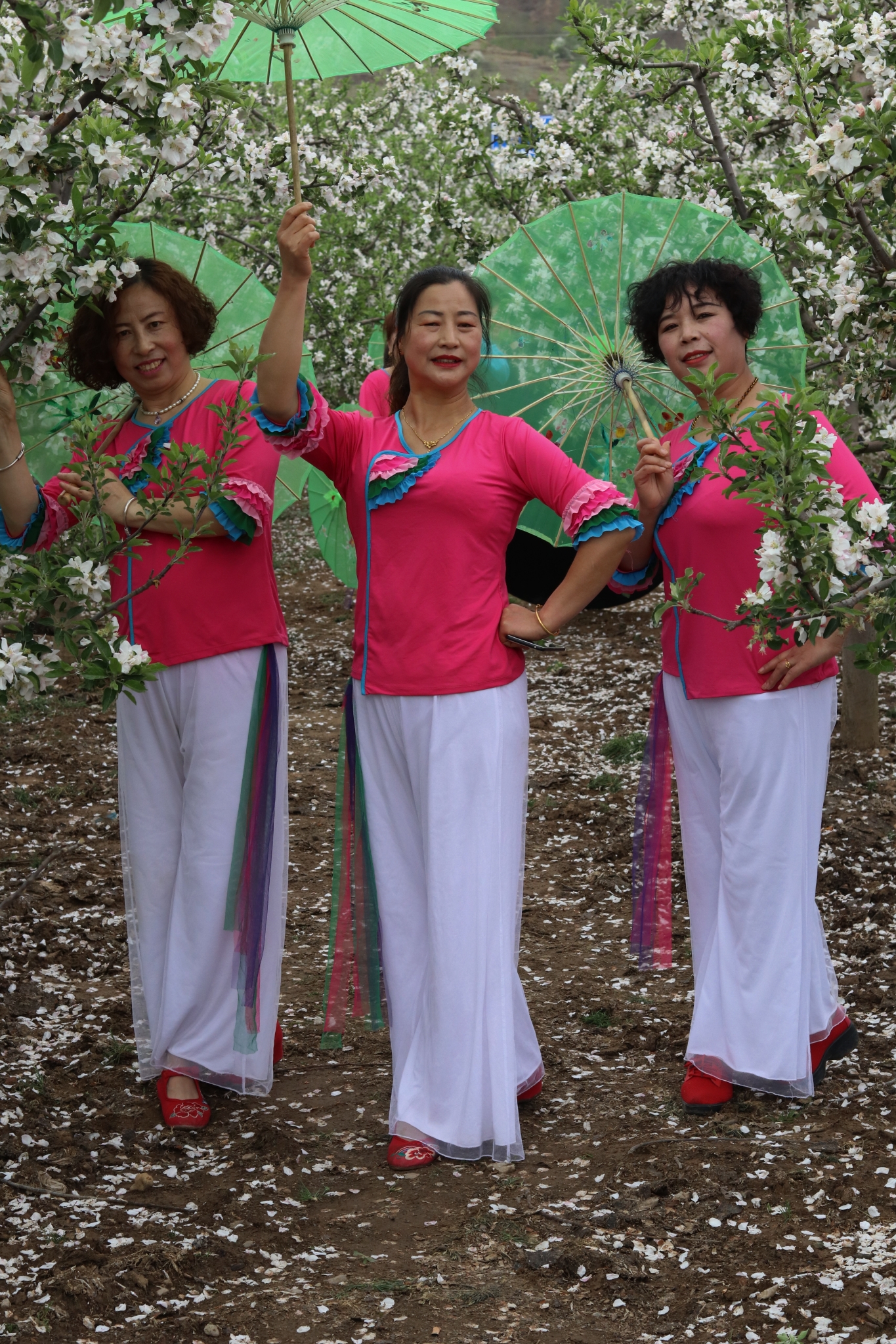 礼县盐官舞之韵队员游花海.