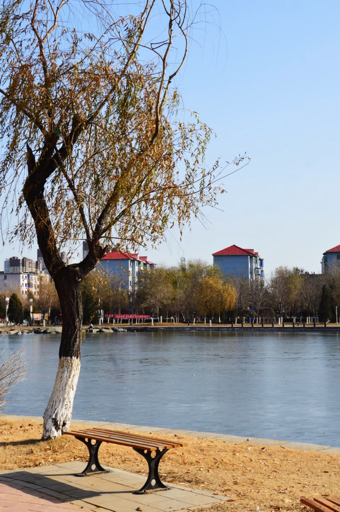 初冬的镜湖公园