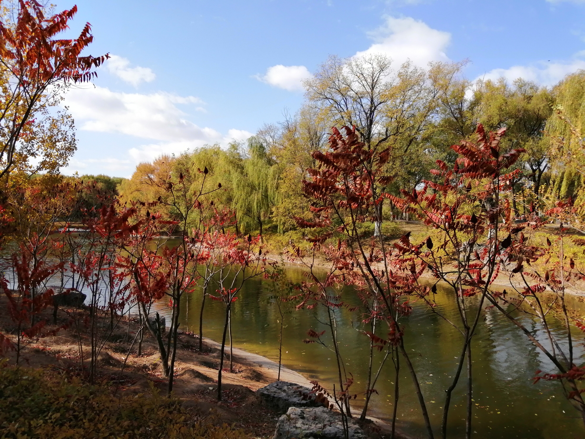 宣化万柳～我美丽的家乡