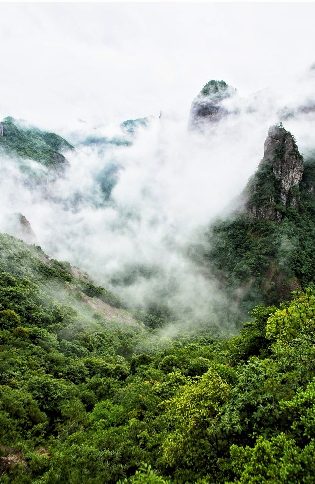 云雾山中,千崖滴翠