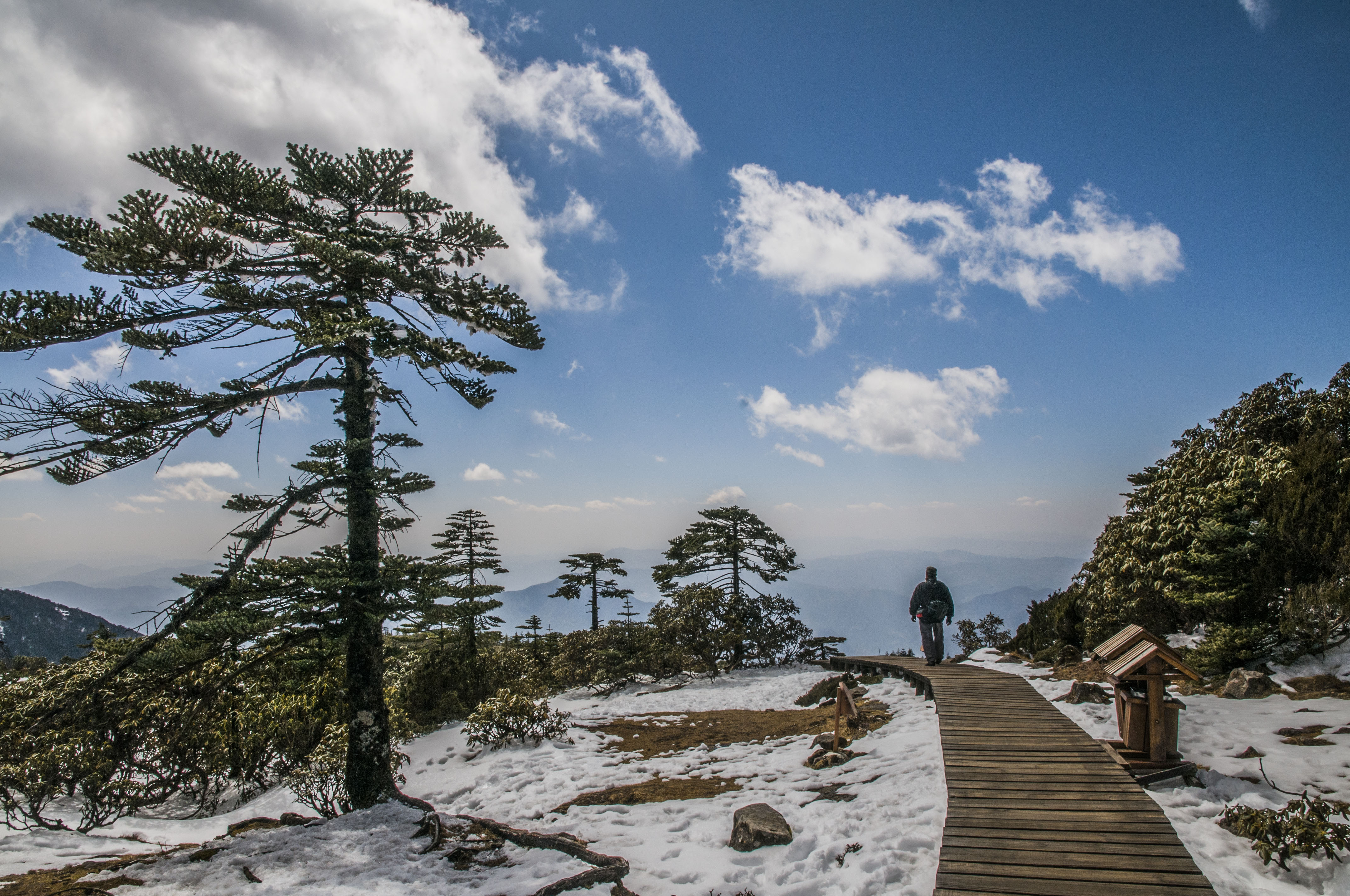 云南昆明轿子雪山,雪野,奇峰,怪树.另有一番风景.