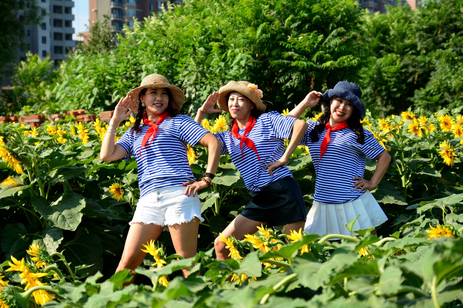 好想回到青葱岁月,去寻找说好的约定,把时光满满地网起,不遗忘过去,不