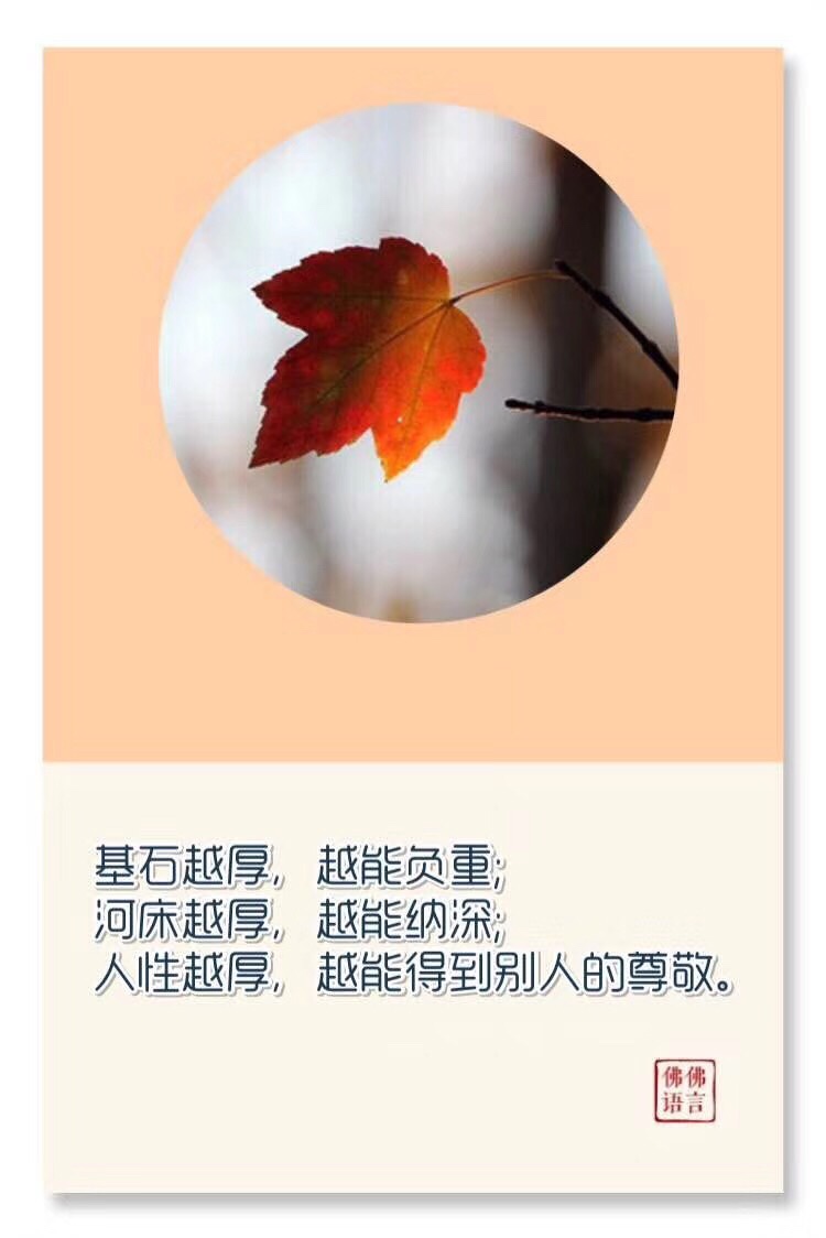看轻人间的一切事,看淡人间的一切情,我们才能放下.