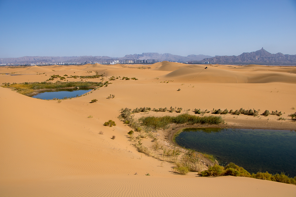 沙恩酒庄—乌兰布和沙漠