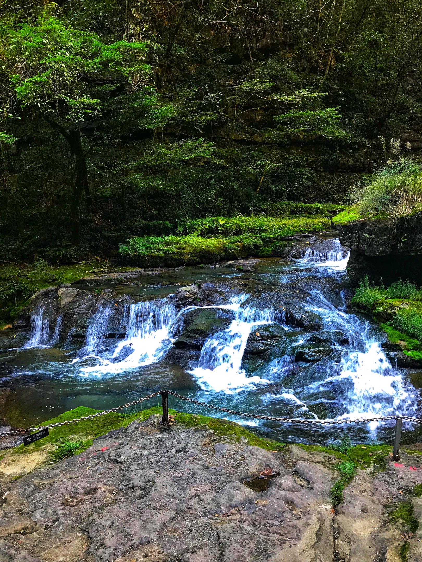 深山密林景如画