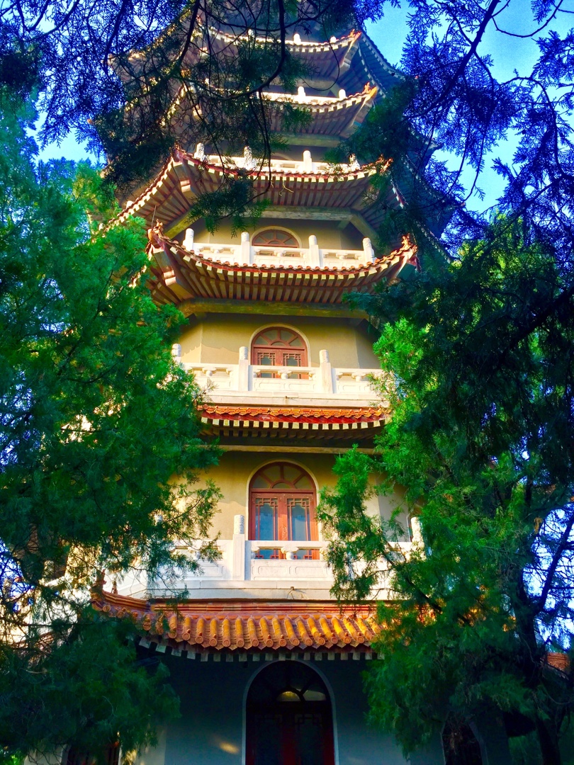 龙山公园一一龙山塔