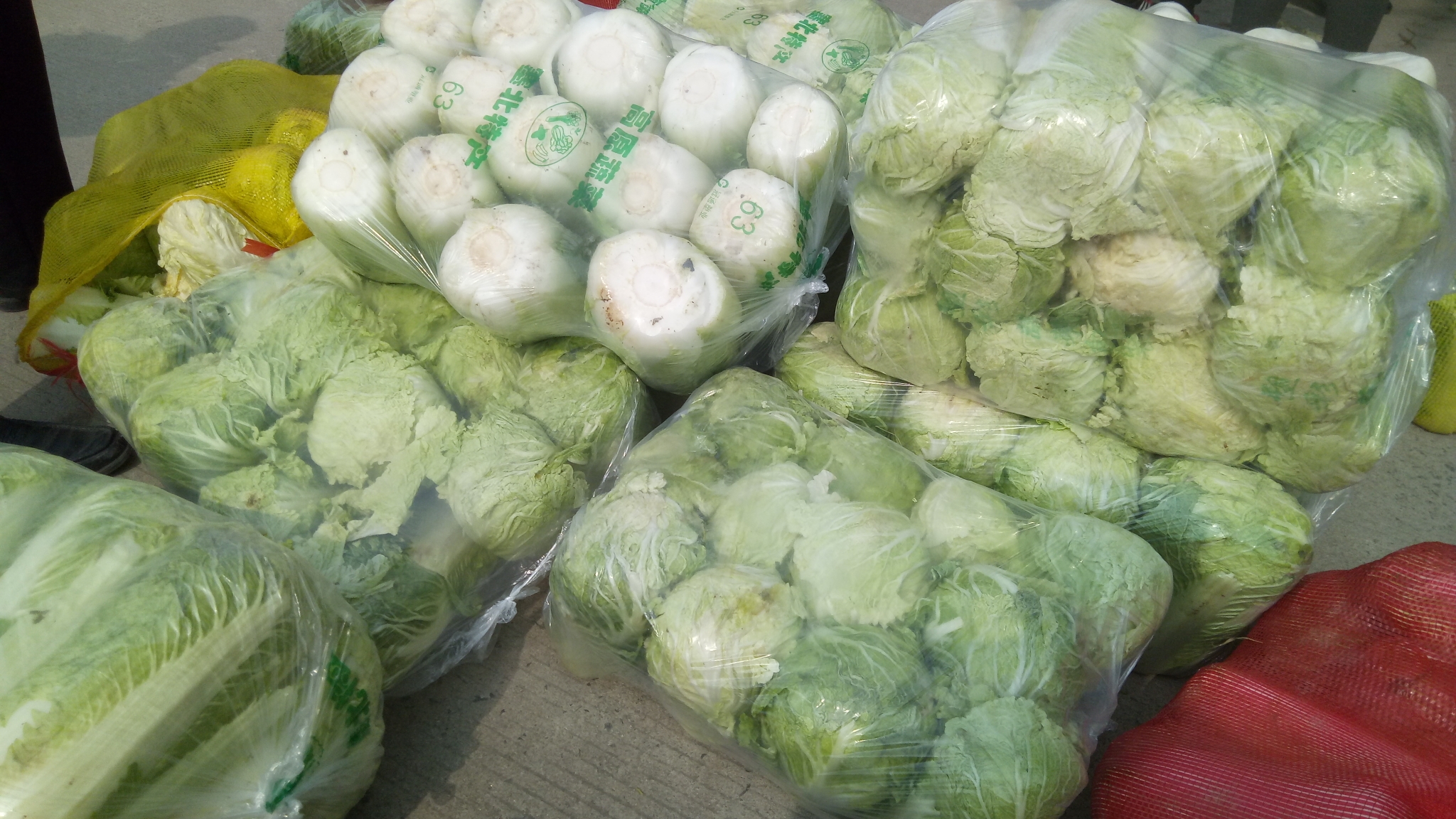 泰安市摄影家协会献爱心捐购潘庄村大白菜