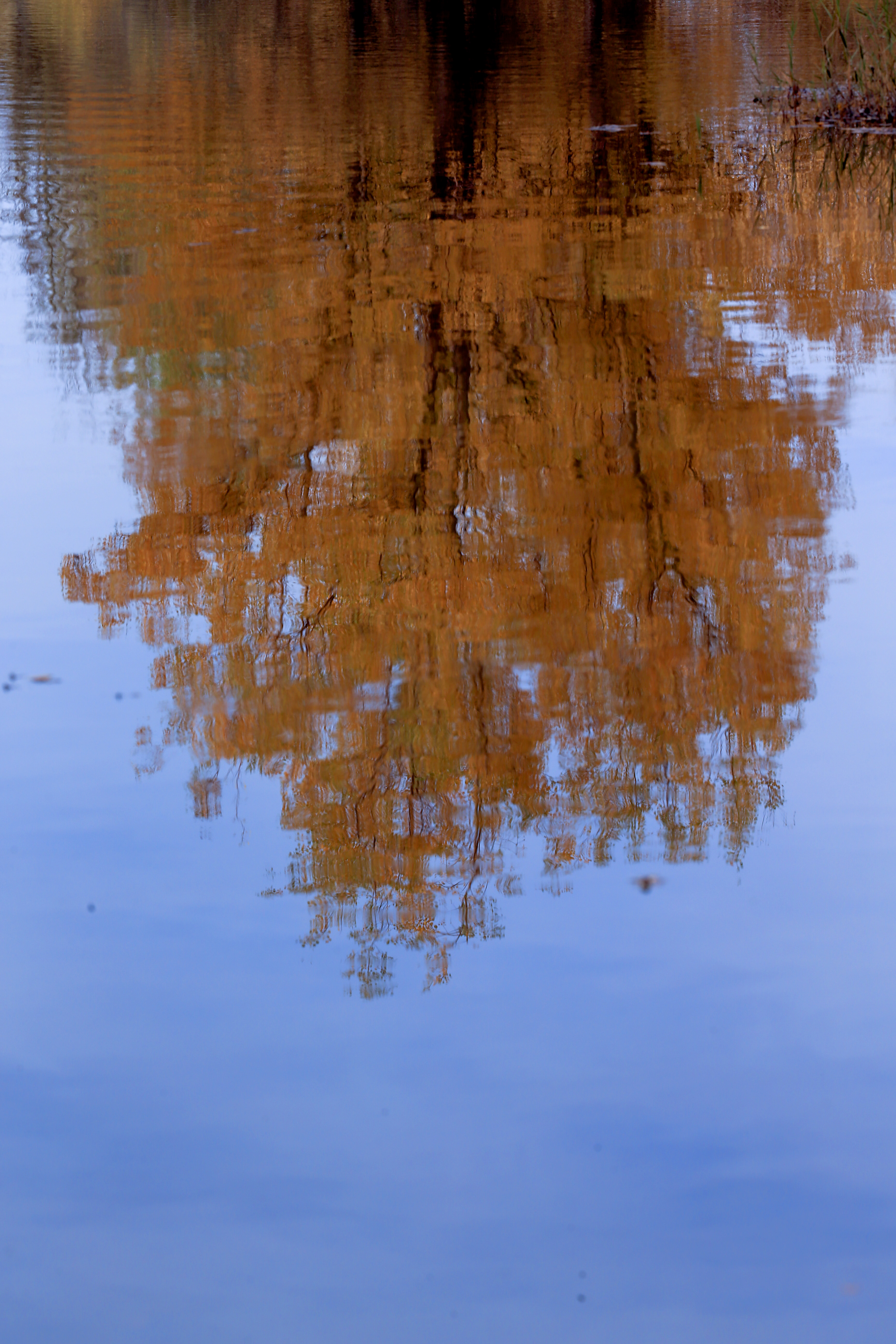 利用倒影进行拍摄,将简单的画面变得更富有内涵,更有艺术感.