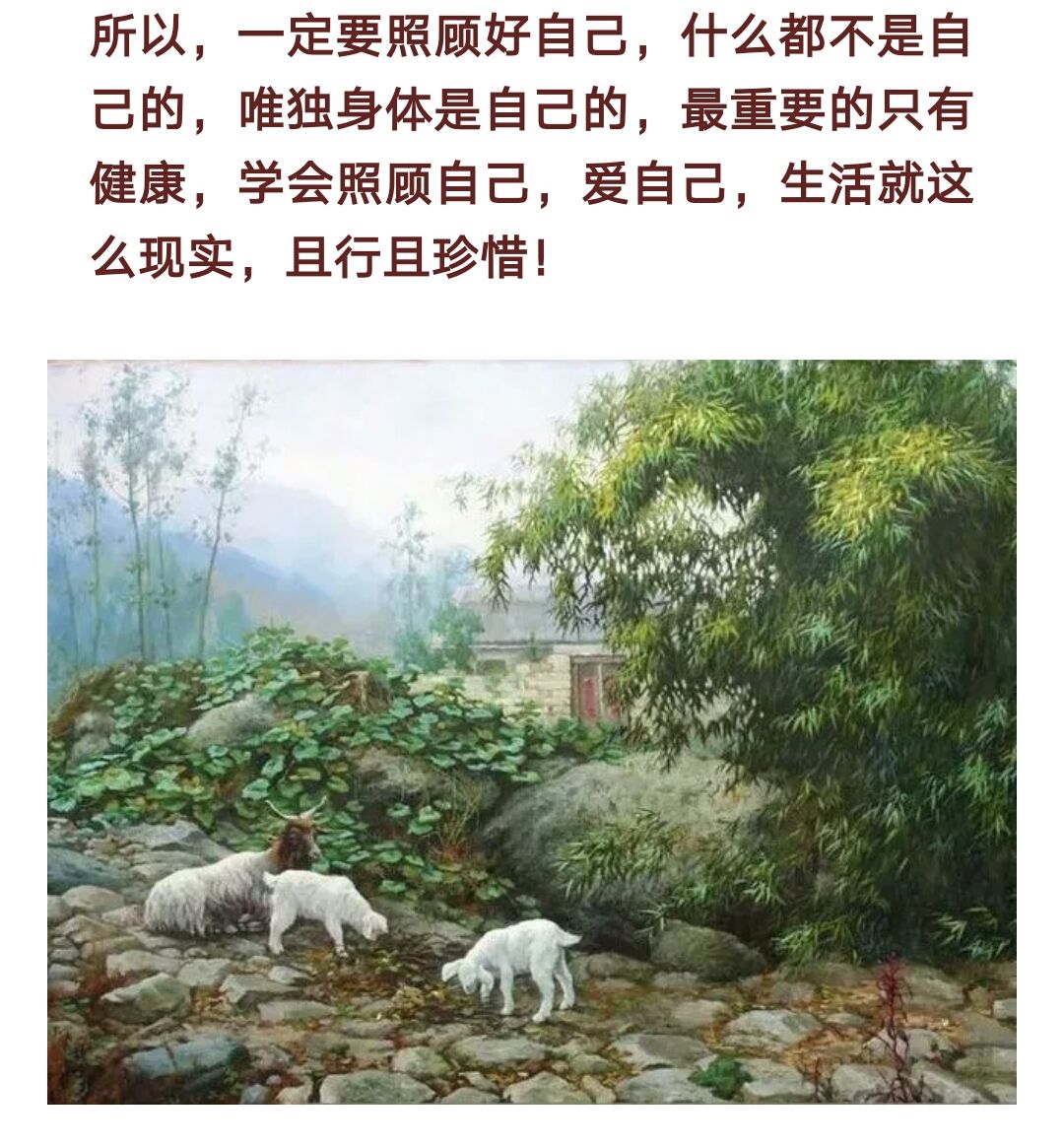 无法重来的一生 (写得真好)