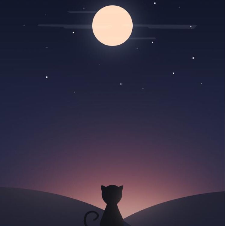 经典老歌《月半小夜曲》 作词:向雪怀 作曲:河合奈保子 演唱:老荣