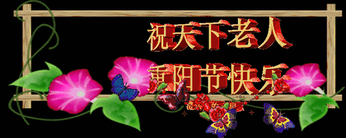 今天是重阳节,祝福老年人节日快乐!