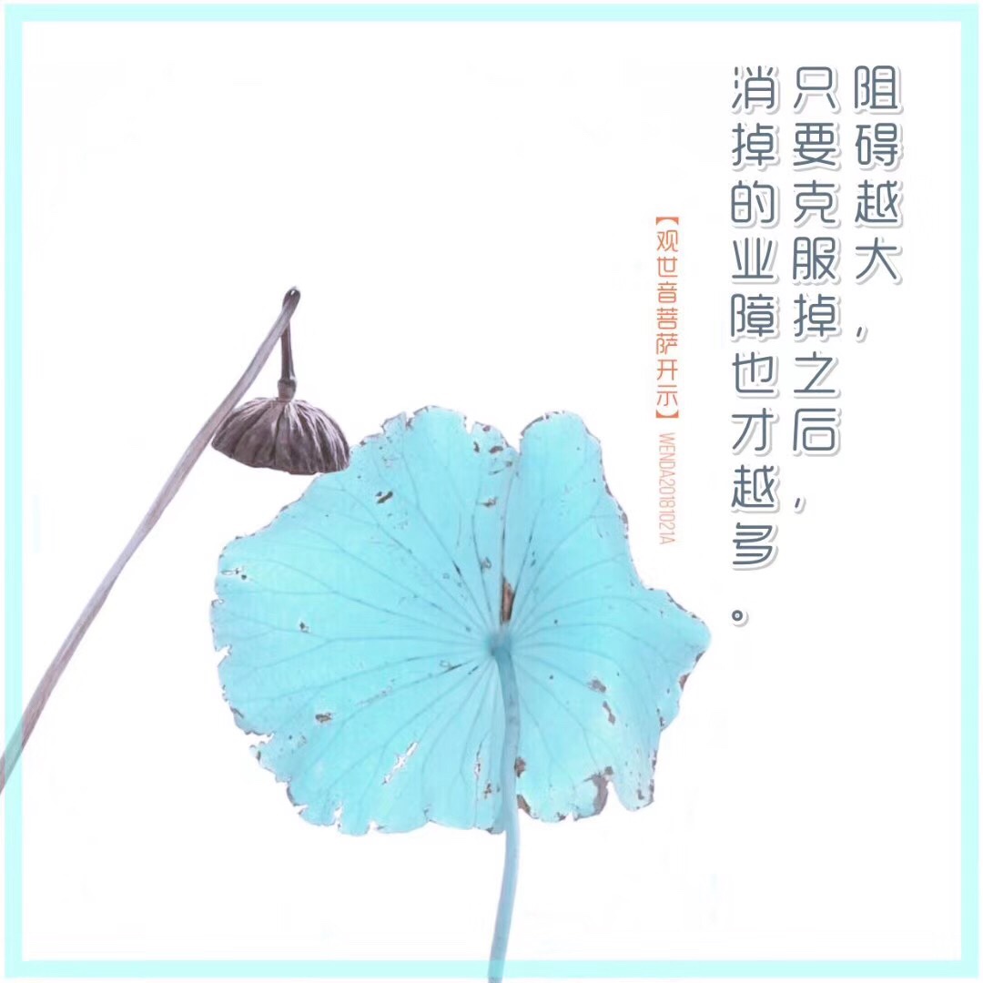 任何一种违背自然规律的做法,都是属于不随缘.