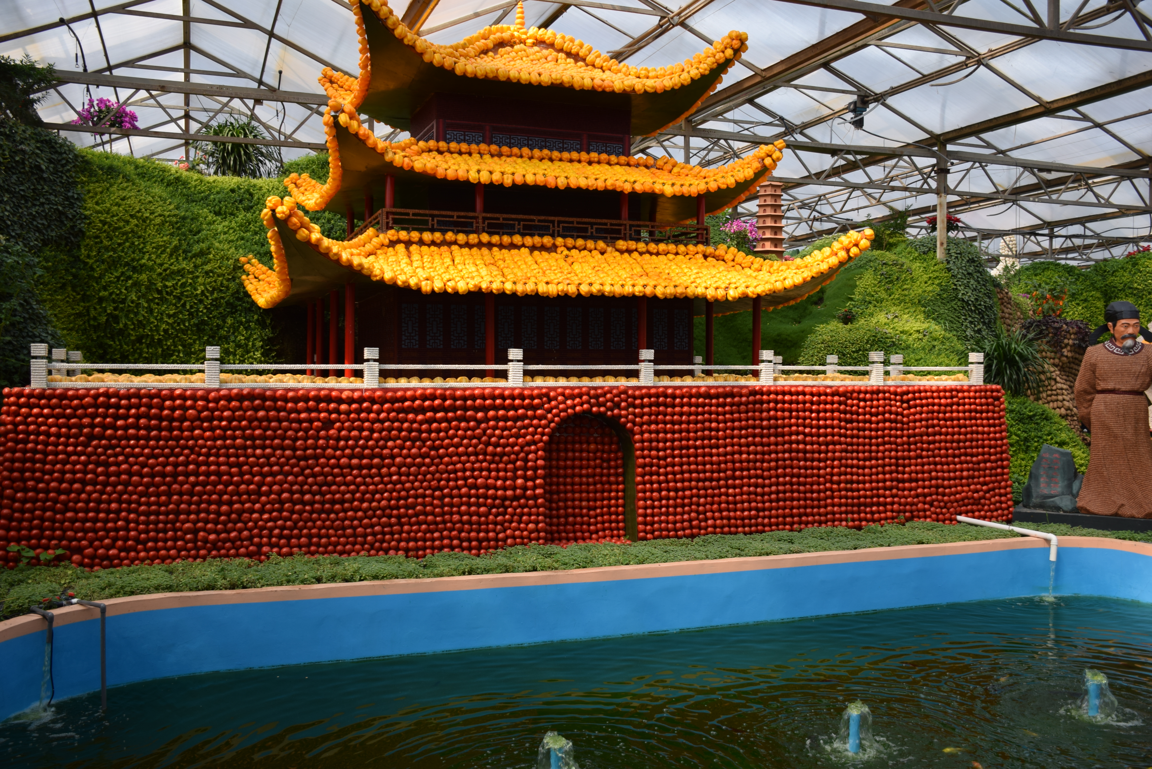 中国(寿光)19届国际菜博会游览拍摄