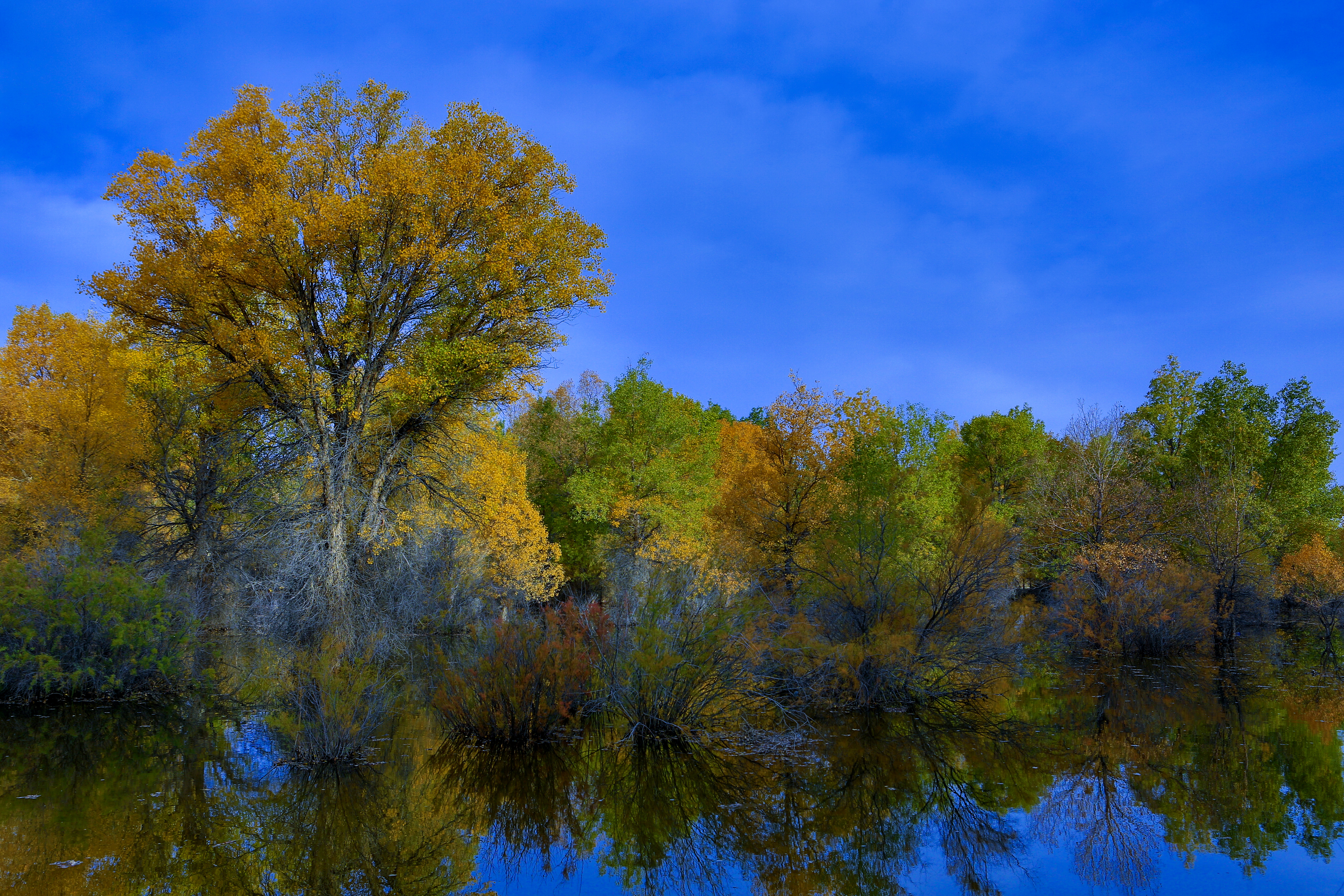 绝美的倒影摄影