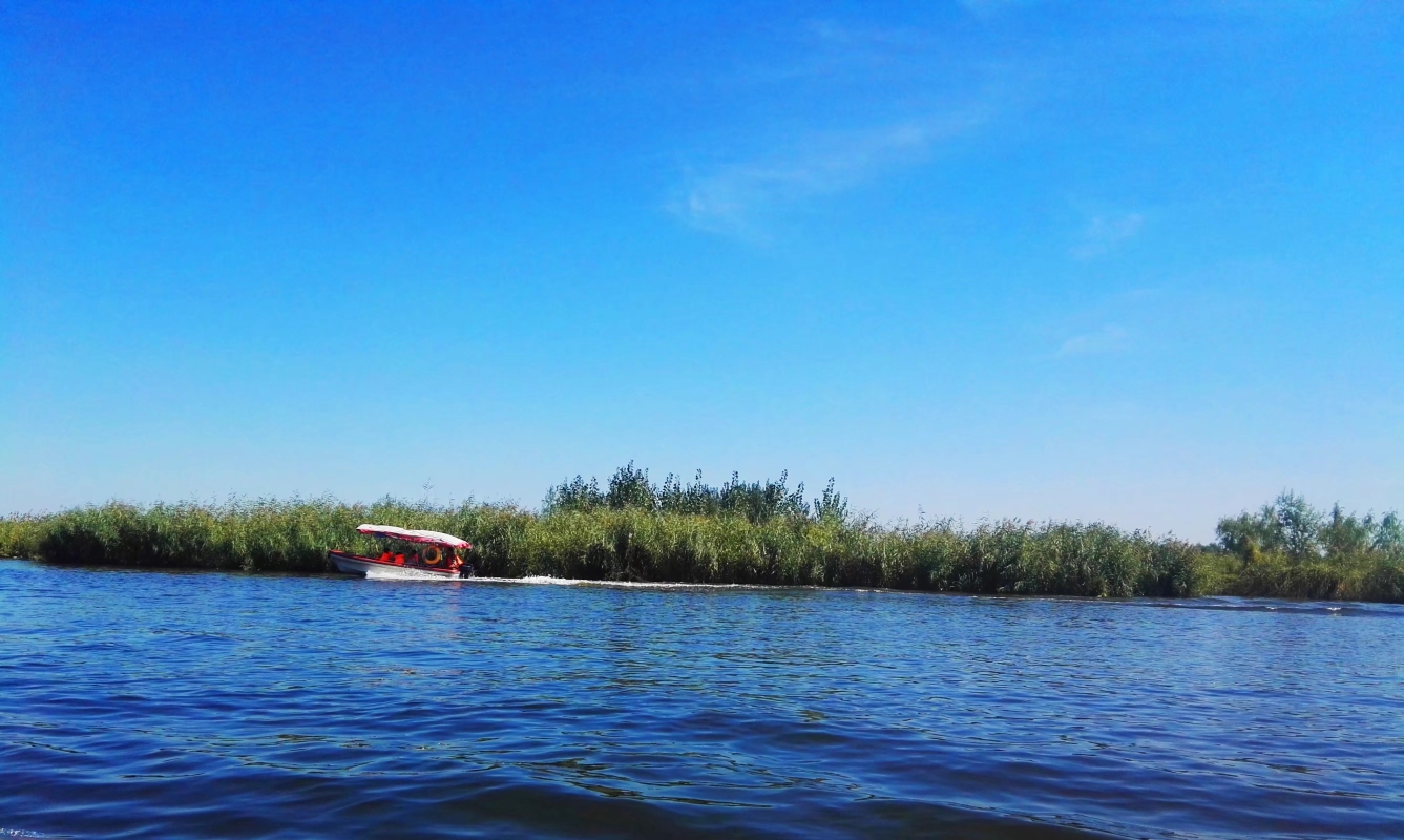 白洋淀水域之美作者龙秀