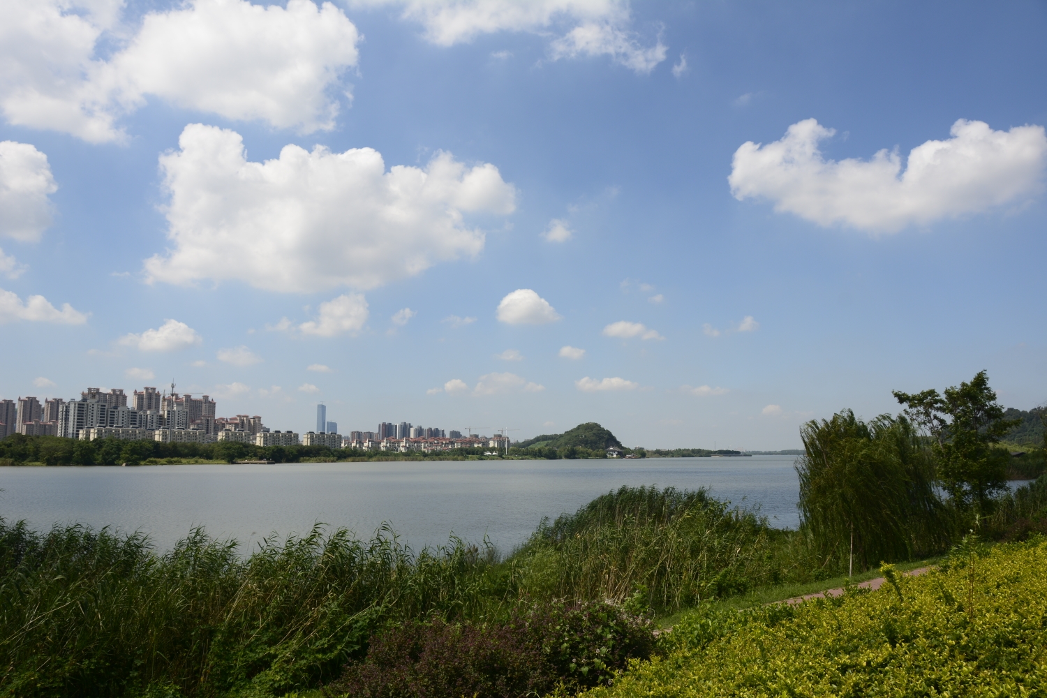 京江路上看蓝天白云