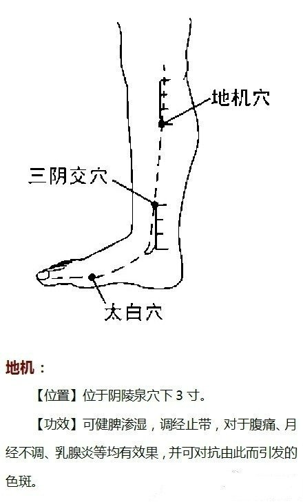 养生之道20191122~1