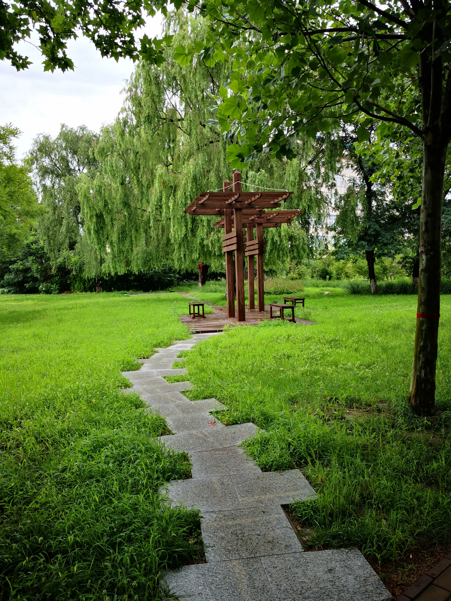 在天晴了的时候