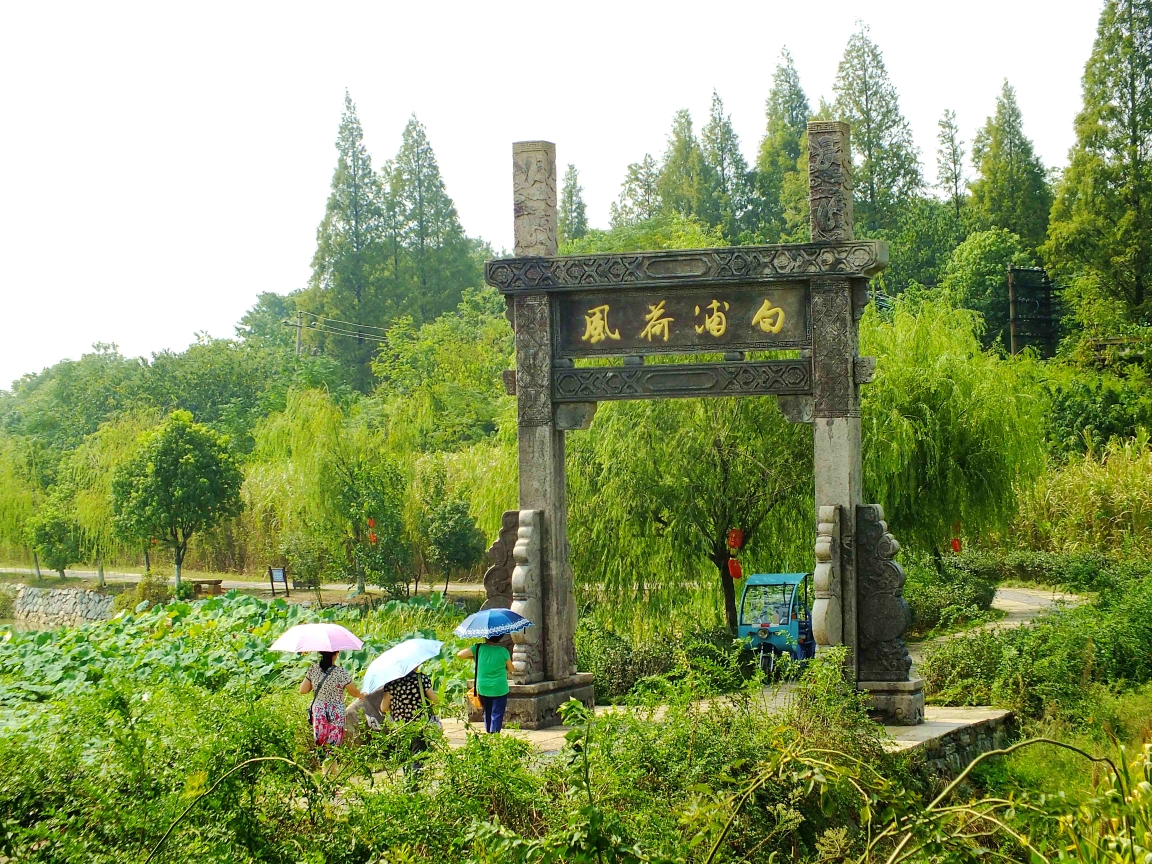 郑州杏花村风景区图片