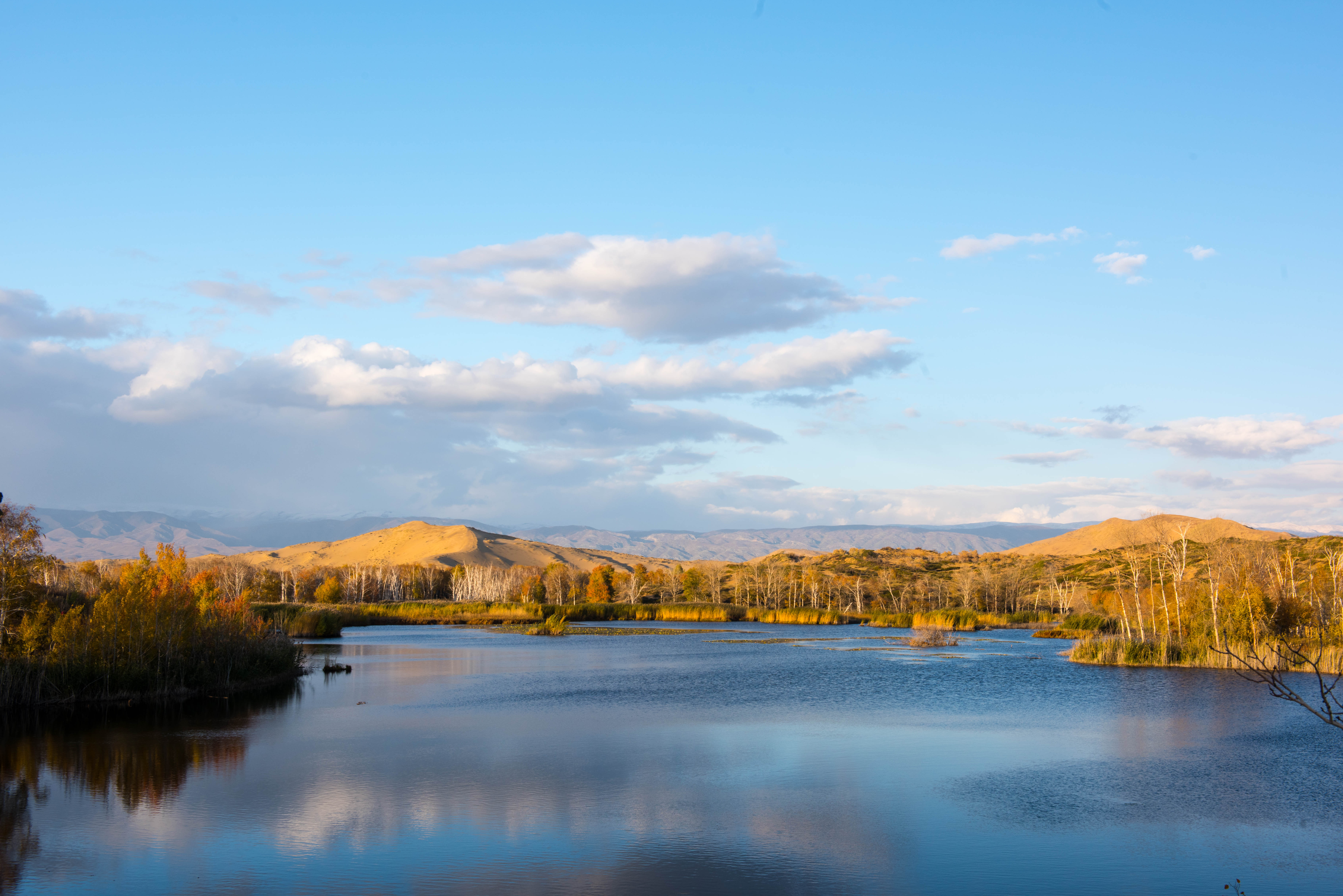 西域秋旅 之一 牧秋 摄影