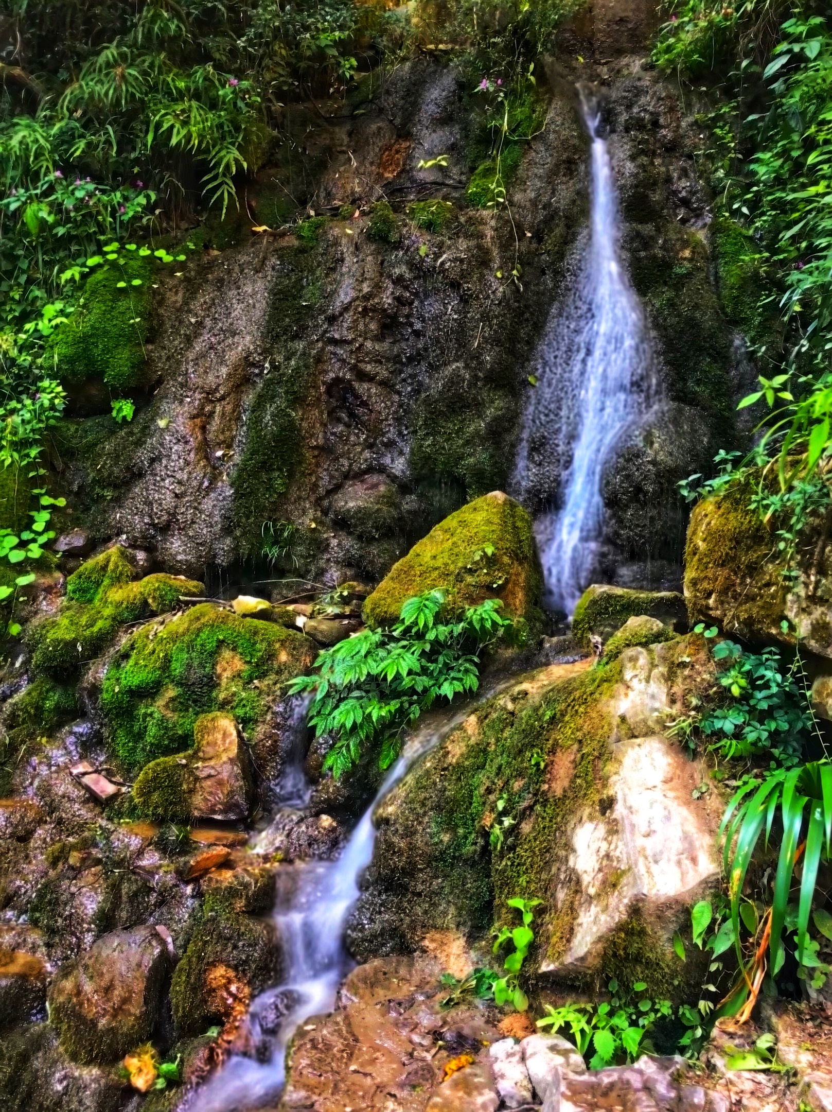 深山密林景如画