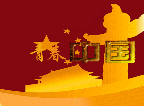 480_355gif 动态图 动图