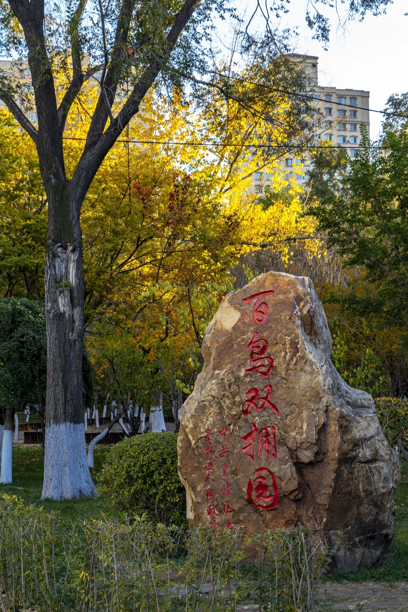 沈阳市百鸟公园