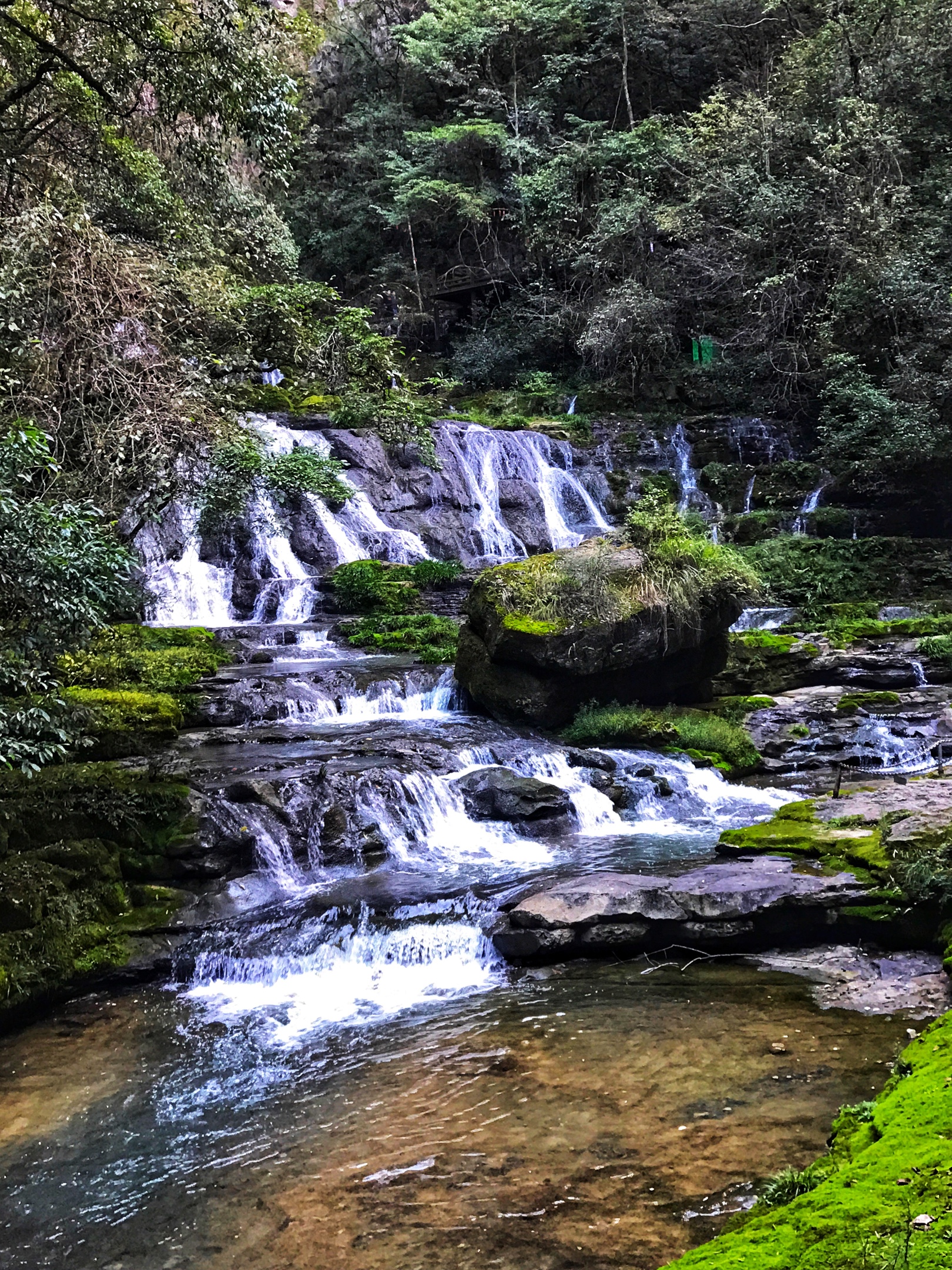 深山密林景如画