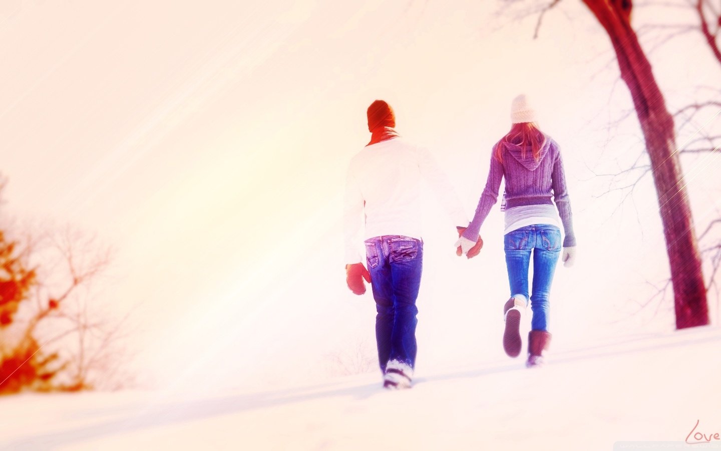 我想告诉那个"傻"男孩儿:爱情是个什么鬼(续)