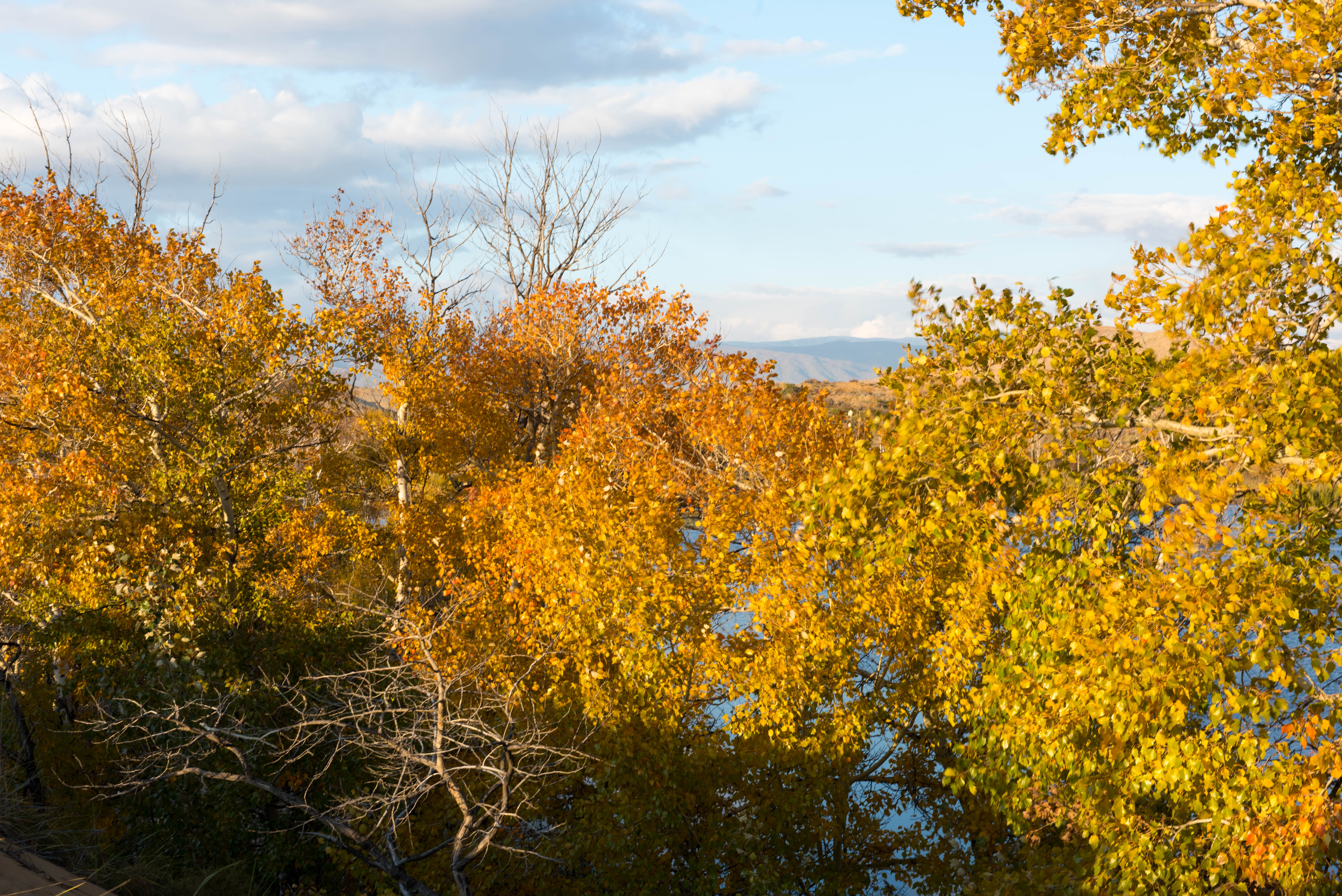 西域秋旅 之一 牧秋 摄影