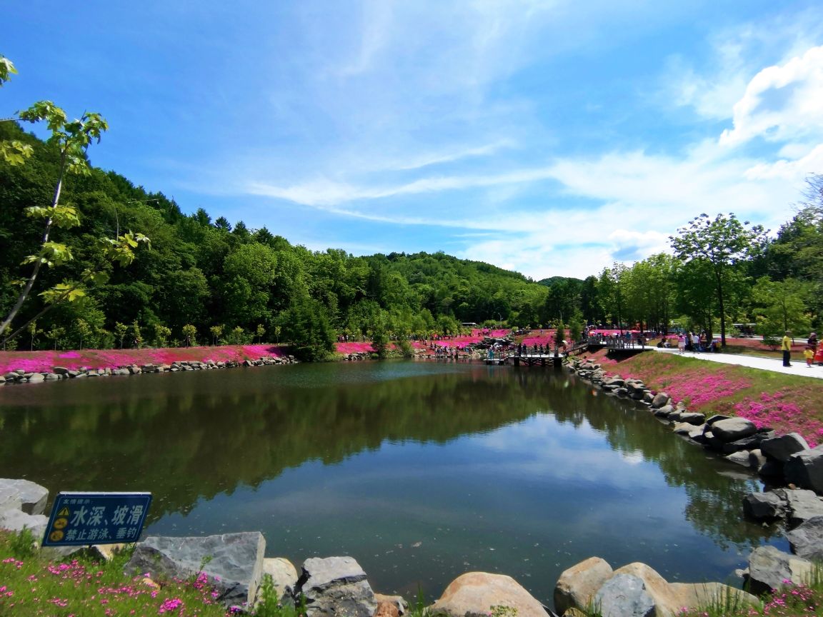 双鸭山青山森林公园