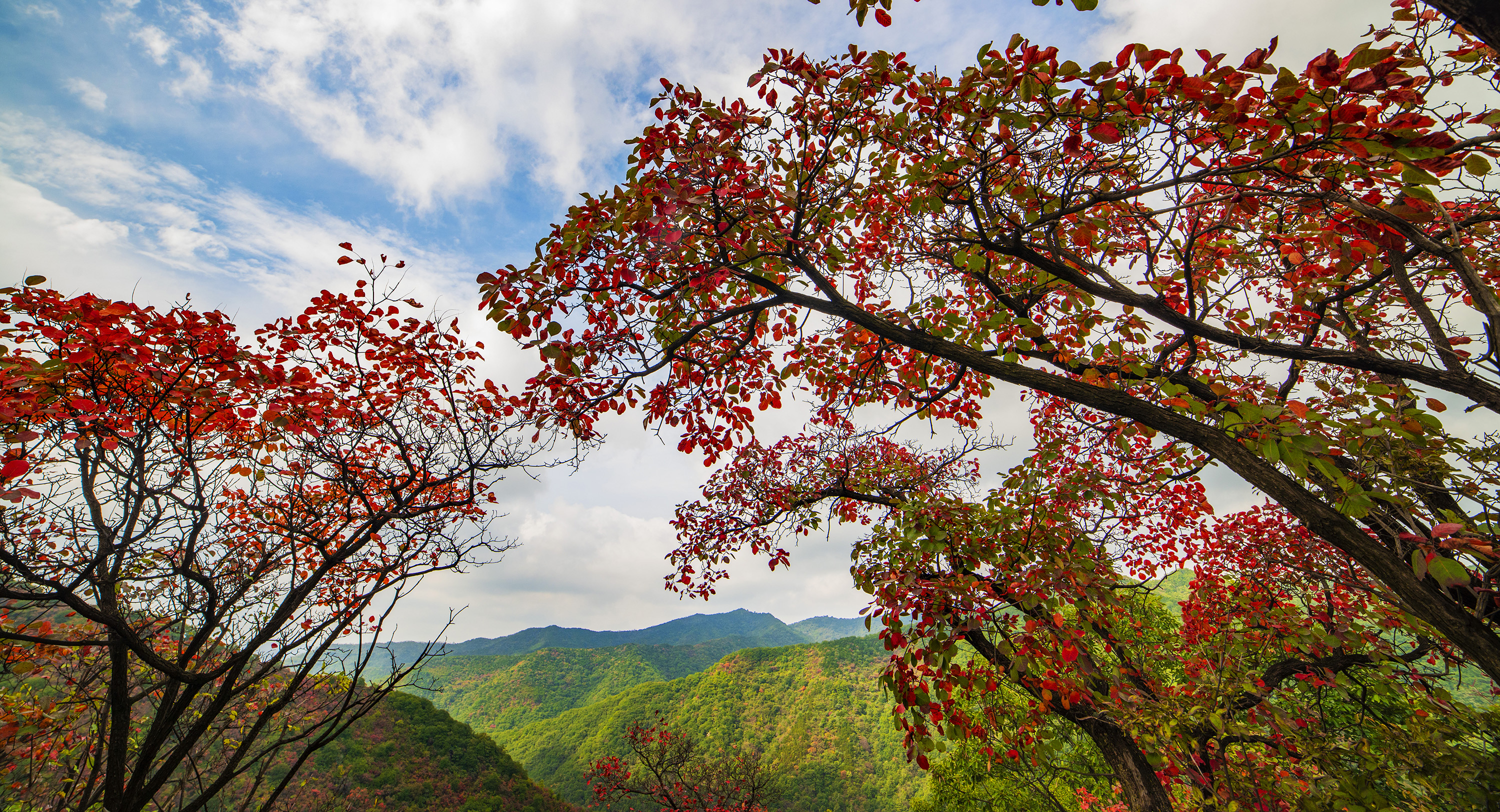 甘山红叶美如画(2019年新拍)