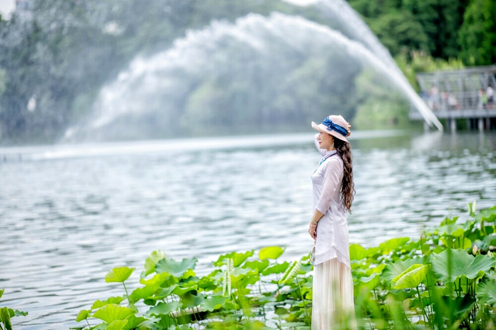 一叶浮萍归大海,人生何处不相逢