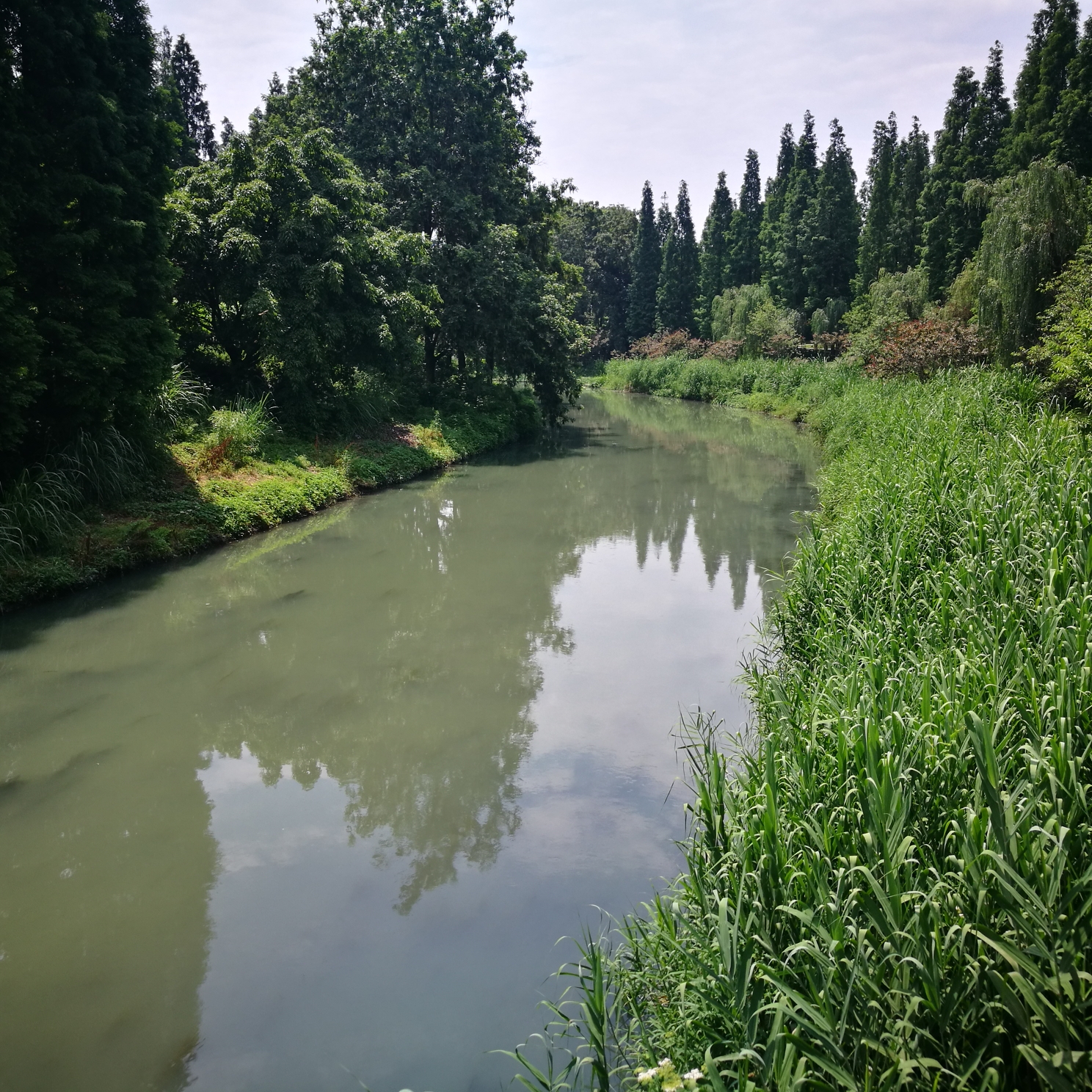 来到摸底河桥上.