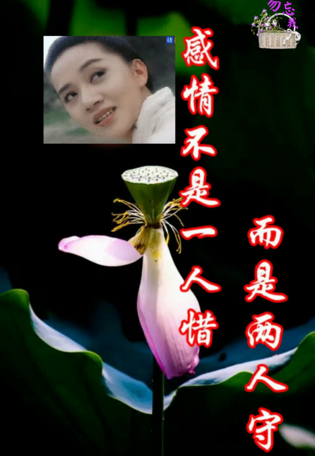 珍惜缘分,珍惜你!一首《下辈子不一定遇见》送给你!