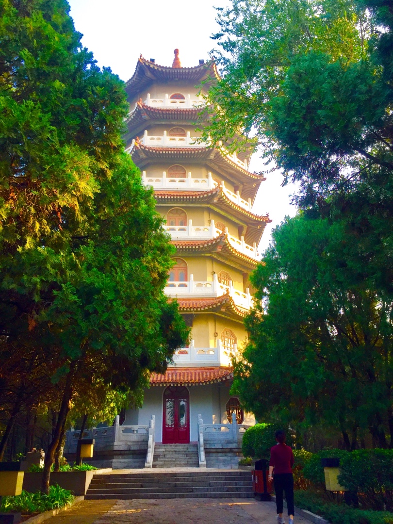 龙山公园一一龙山塔