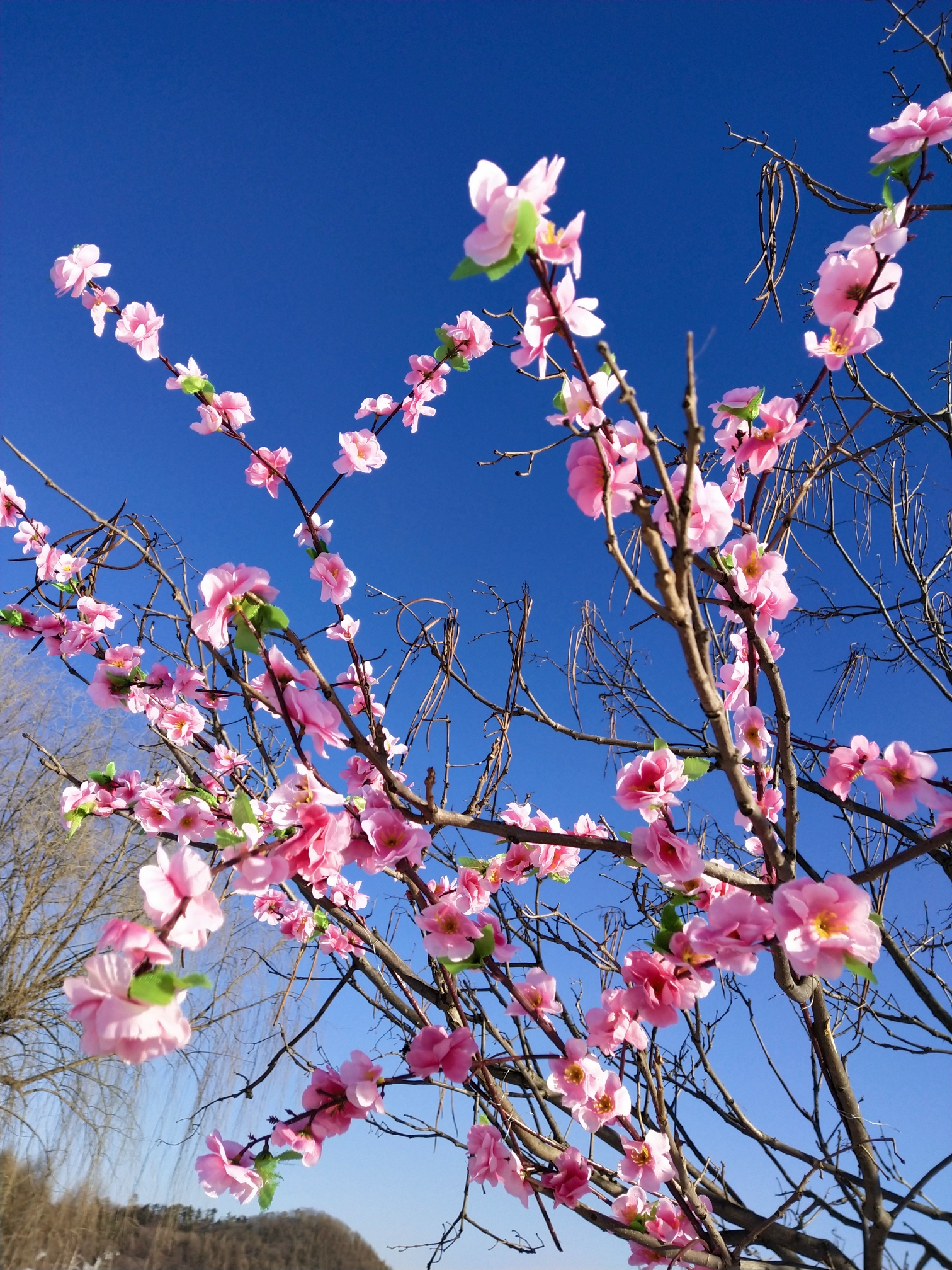 快乐就这么简单忘记烦恼 亲近大自然找个理由 给自己的心灵放假抚顺清