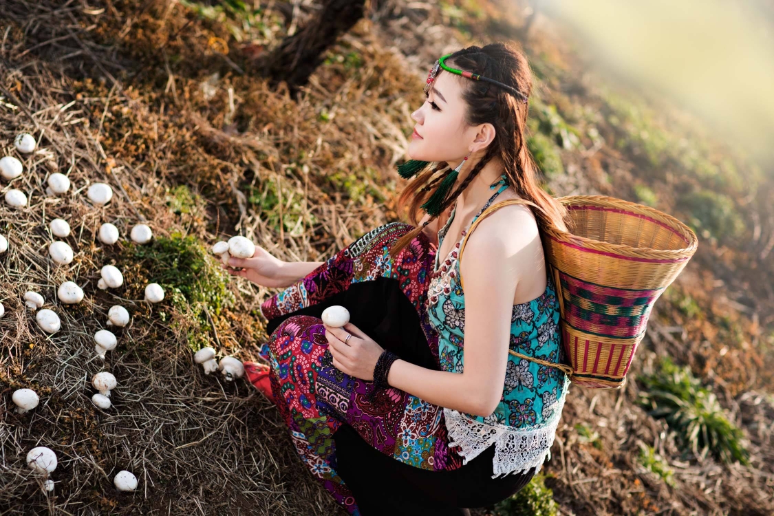 采蘑菇 原创 图片来源网络