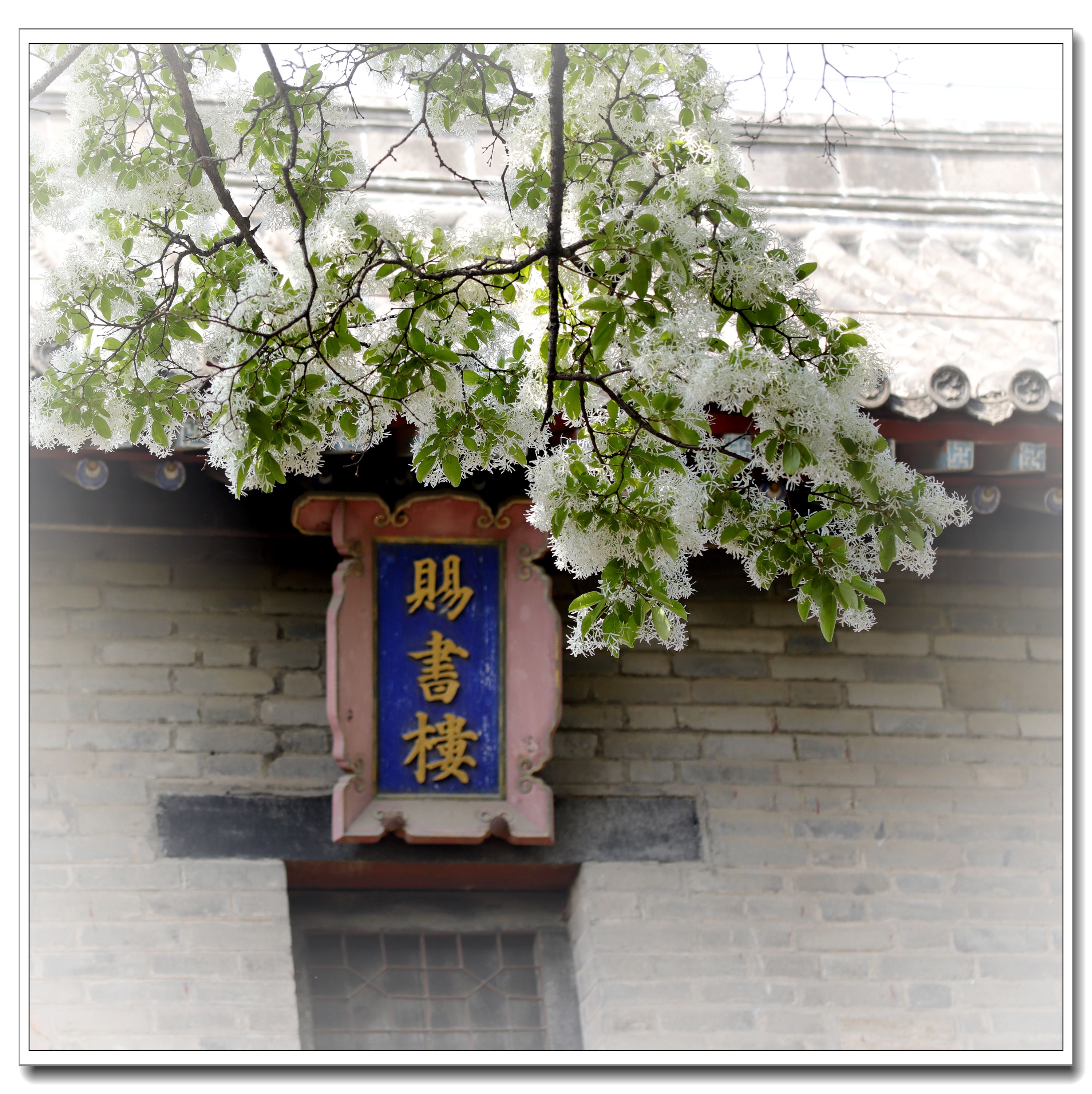 千古儒风孟府情[3]