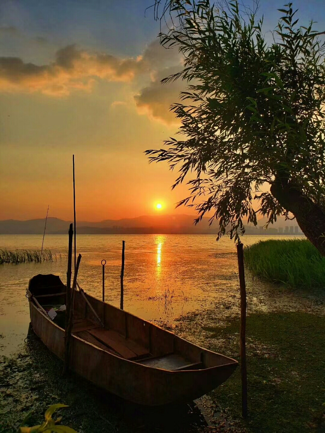 异乡的黄昏