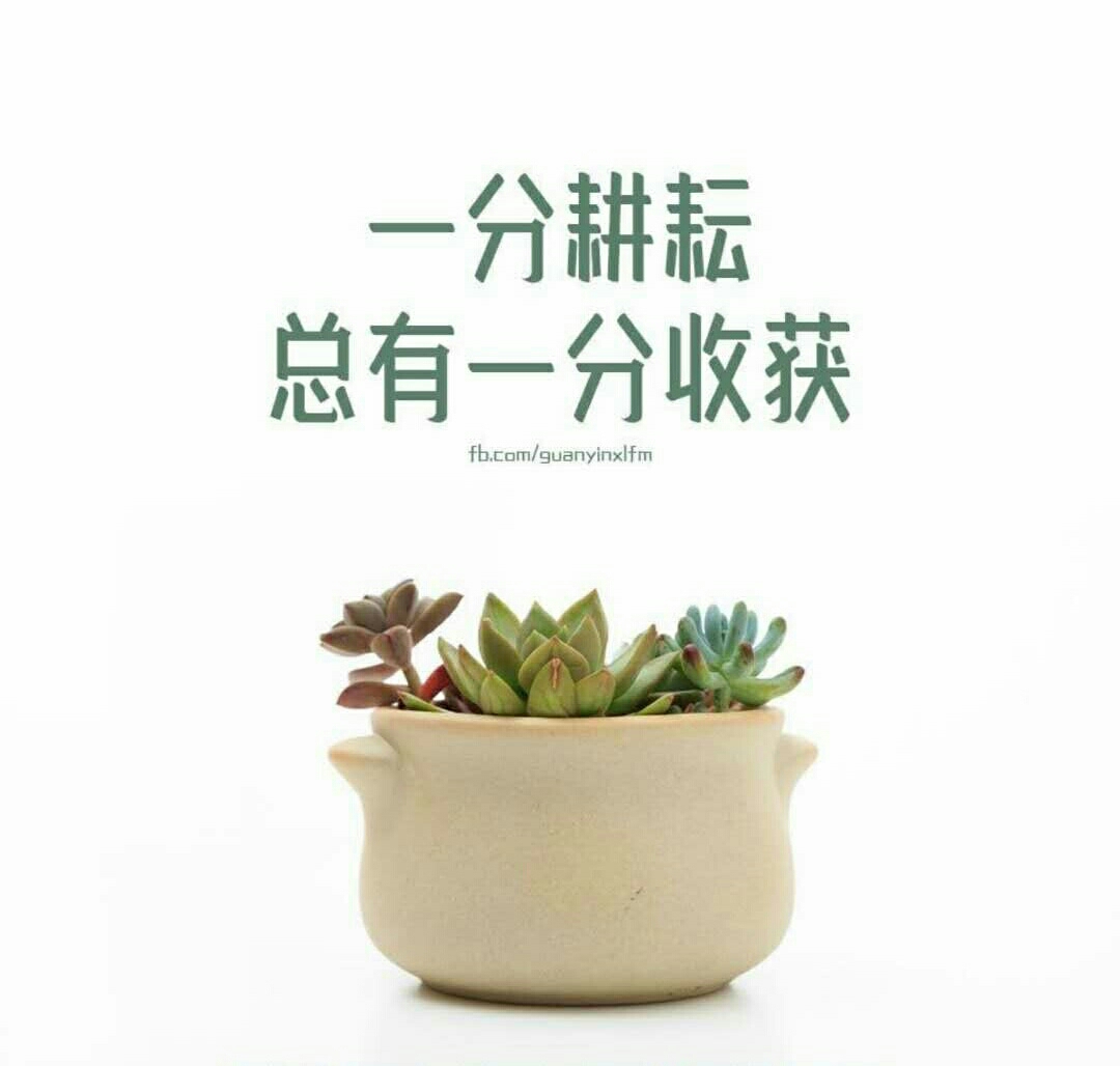 只管耕耘,不问收获