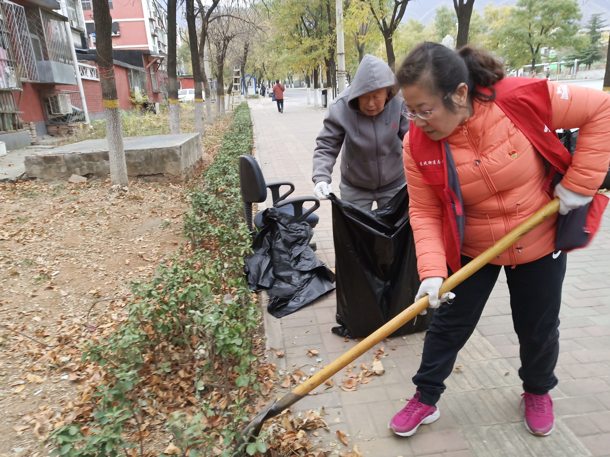 11月6日(周二)下午北里居委会组织各楼门长和部分居民清扫卫生,图片