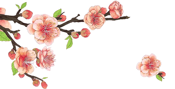 608_313gif 动态图 动图