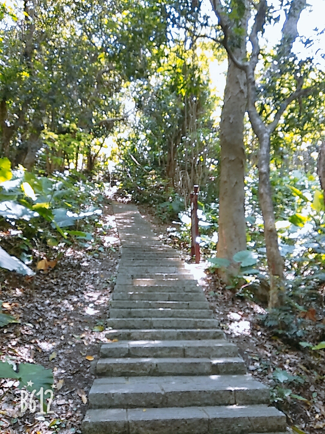 東莞清溪大王山森林公園