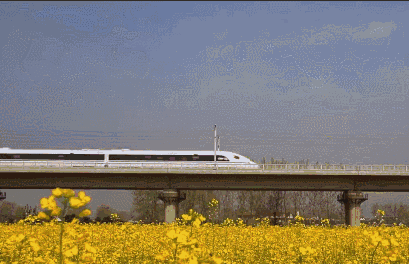 409_264gif 动态图 动图