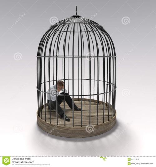 人在笼中 原创 图片来源网络