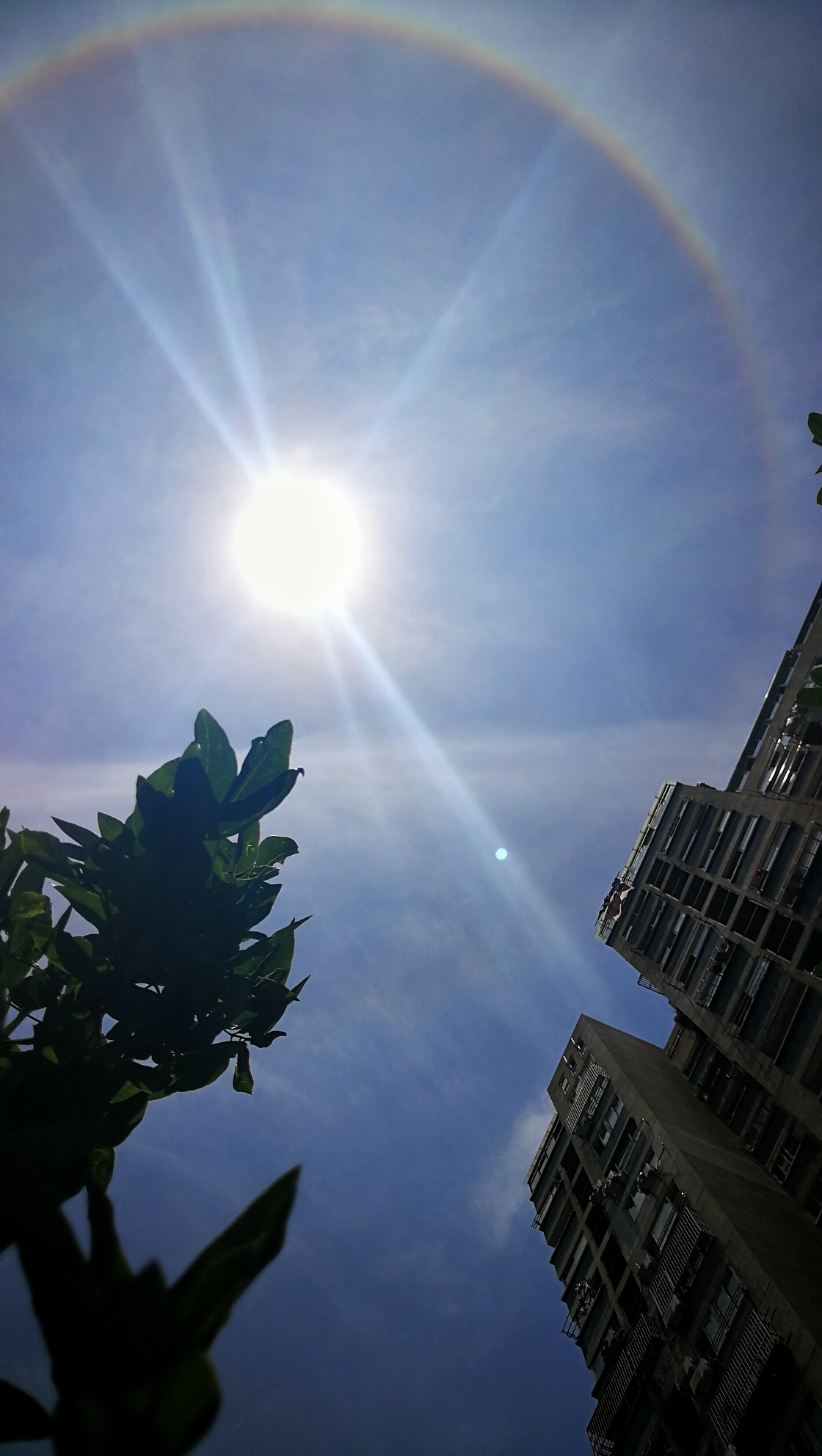 2018年6月26日,中午10点50分左右,天空出现了罕见的天像:日晕.