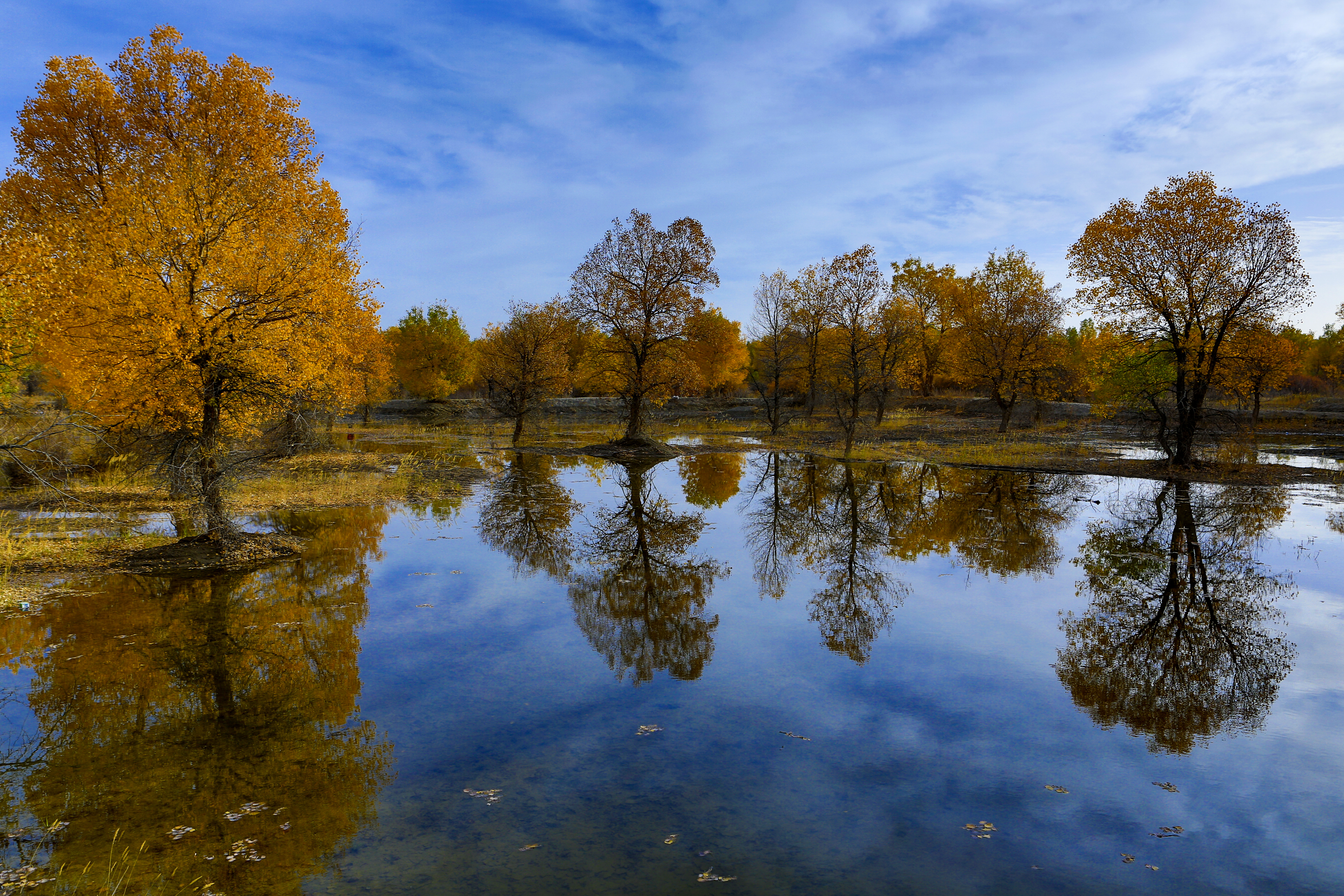 利用倒影进行拍摄,将简单的画面变得更富有内涵,更有艺术感.